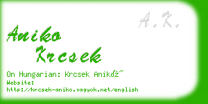 aniko krcsek business card